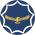Roundel of South African Air Force.svg