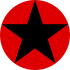Soviet Russia Air force roundel.svg