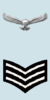 IAF Sgt Arm.png